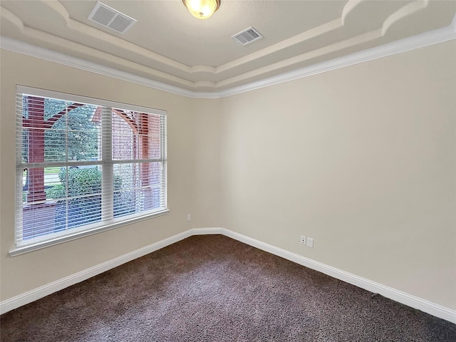 18614 Rimini Ridge Ct, Cypress, TX 77429 - unfurnished room featuring a tray ceiling and dark colored carpet