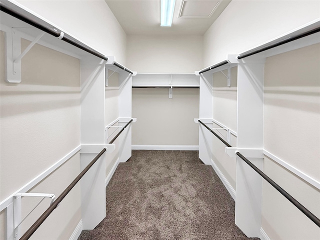 18614 Rimini Ridge Ct, Cypress, TX 77429 - walk in closet featuring dark carpet