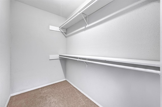 9804 Thrush St, Houston, TX 77571 - photo 20