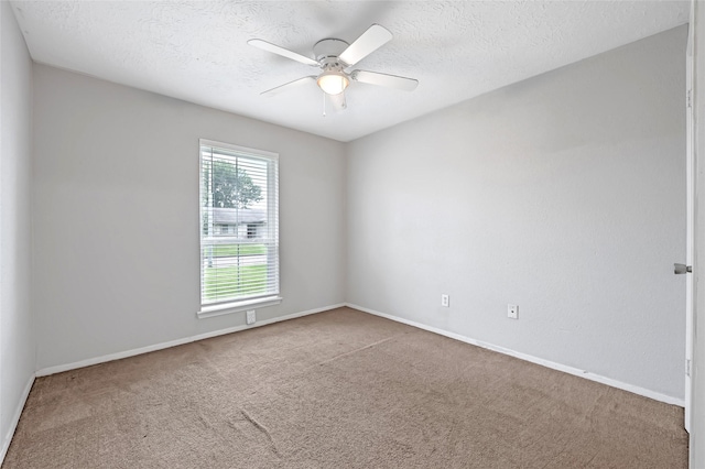 9804 Thrush St, Houston, TX 77571 - photo 21