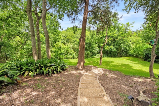 7539 Santa Fe Dr, Houston, TX 77061 - view of grassy yard