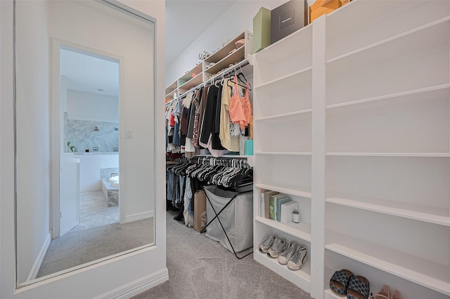 4107 Rainflower Ct, Fulshear, TX 77441 - walk in closet with carpet