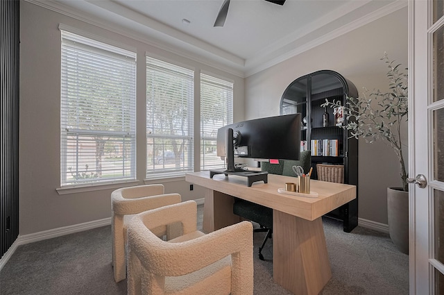 4107 Rainflower Ct, Fulshear, TX 77441 - office space featuring carpet flooring, a ceiling fan, and ornamental molding