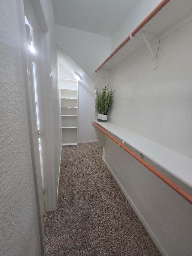 176 Capetown, Conroe, TX 77356 - walk in closet with carpet floors
