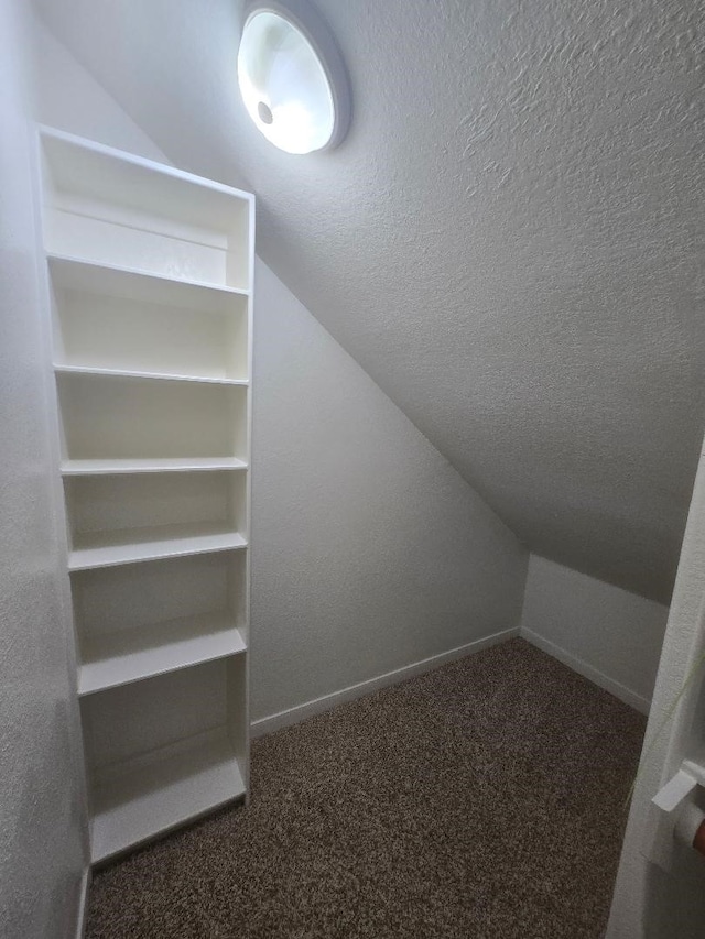 176 Capetown, Conroe, TX 77356 - walk in closet with lofted ceiling and carpet flooring