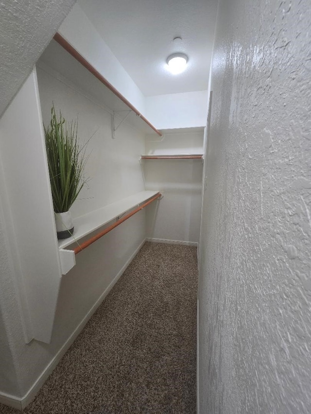 176 Capetown, Conroe, TX 77356 - walk in closet with carpet floors