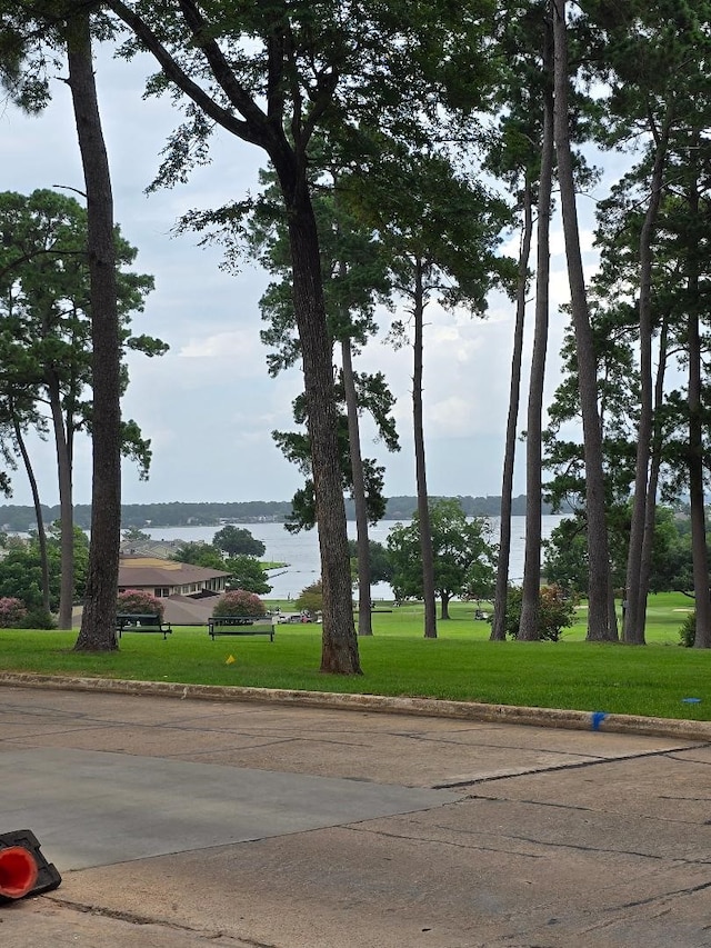 176 Capetown, Conroe, TX 77356 - water view