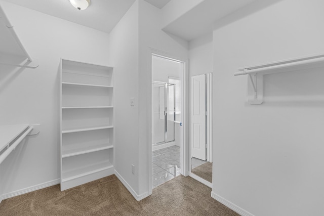 5918 Mahogany Way, Magnolia, TX 77354 - walk in closet featuring carpet floors