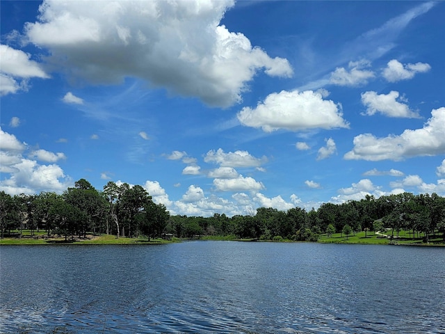 0 Safari Shores Dr, Larue, TX 75770