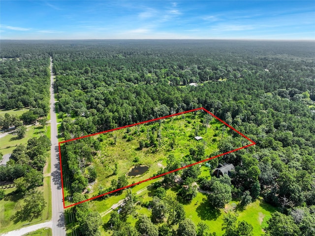 26402 Clark Rd, Waller, TX 77484 - photo 6