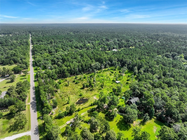 26402 Clark Rd, Waller, TX 77484 - photo 22