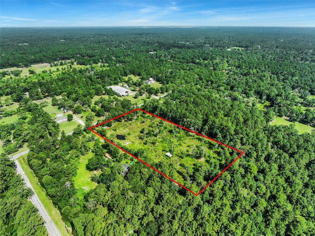 26402 Clark Rd, Waller, TX 77484 - photo 11