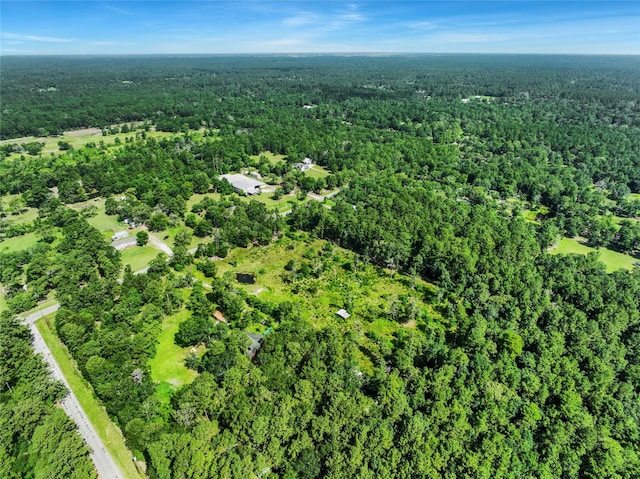 26402 Clark Rd, Waller, TX 77484 - photo 24