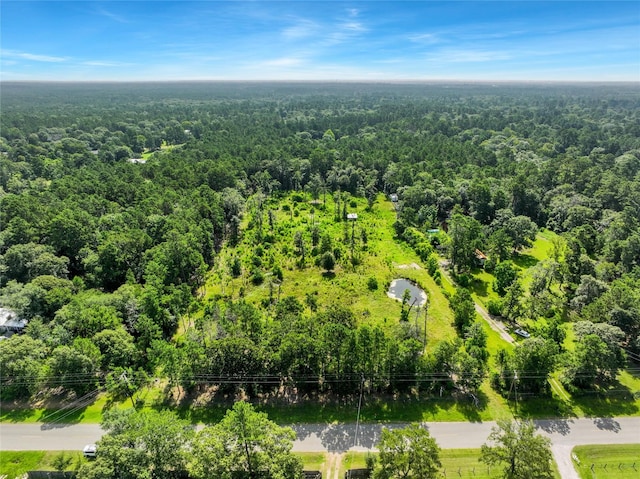 26402 Clark Rd, Waller, TX 77484 - photo 19