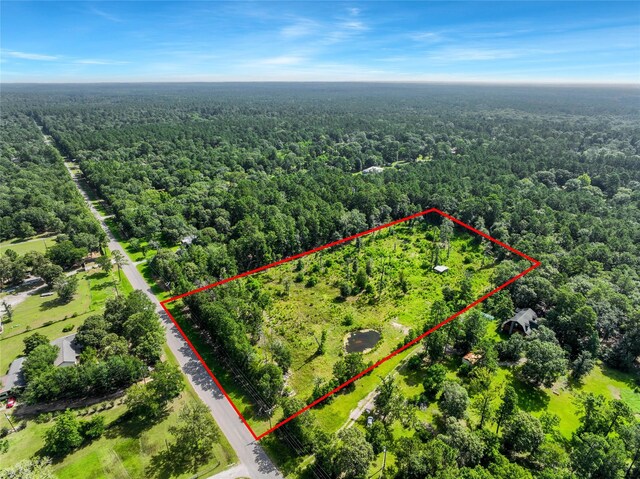 26402 Clark Rd, Waller, TX 77484 - photo 7