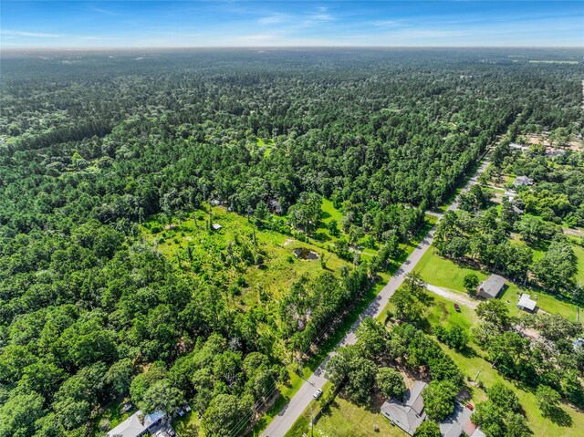 26402 Clark Rd, Waller, TX 77484 - photo 27