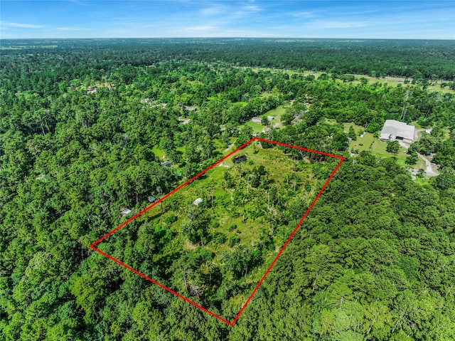 26402 Clark Rd, Waller, TX 77484 - photo 10