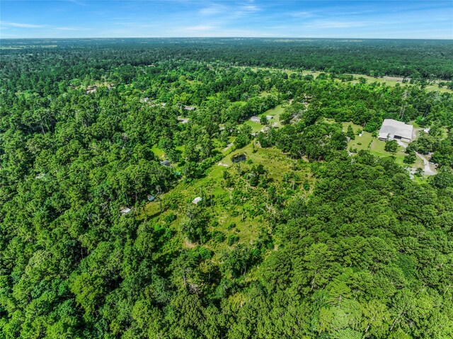 26402 Clark Rd, Waller, TX 77484 - photo 29