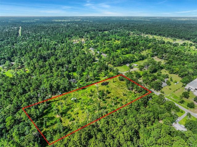 26402 Clark Rd, Waller, TX 77484 - photo 3