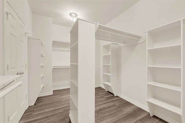 4216 Childress St Unit B, Houston, TX 77005 - photo 48