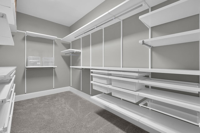 18618 Bridle Grove Ct, Tomball, TX 77377 - spacious closet with carpet