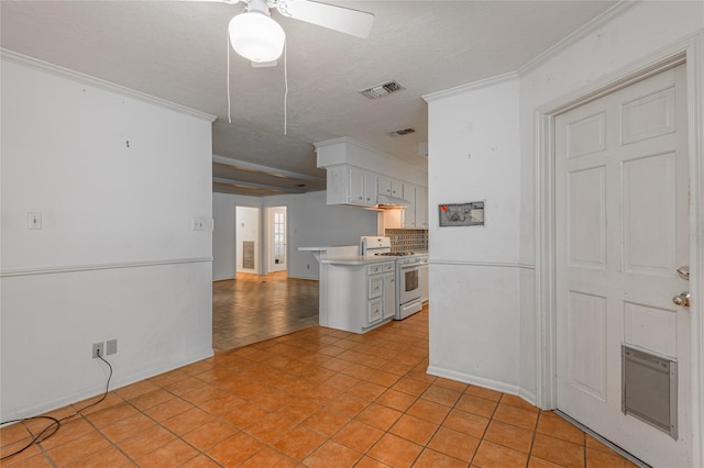 3799 Summer Ln, Huntsville, TX 77340 - kitchen with gas range gas stove, a ceiling fan, white cabinets, ornamental molding, and light countertops