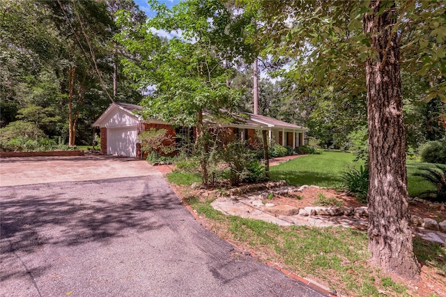 3799 Summer Ln, Huntsville, TX 77340 - view of front of home with asphalt driveway and a front lawn