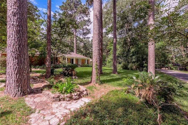 3799 Summer Ln, Huntsville, TX 77340 - view of grassy yard