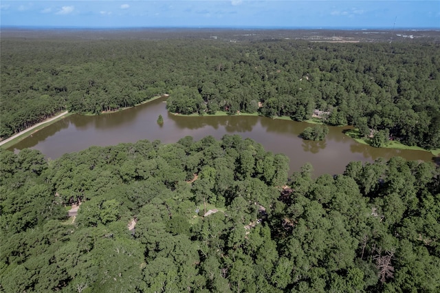 3799 Summer Ln, Huntsville, TX 77340 - aerial view of property and surrounding area featuring a forest and a nearby body of water