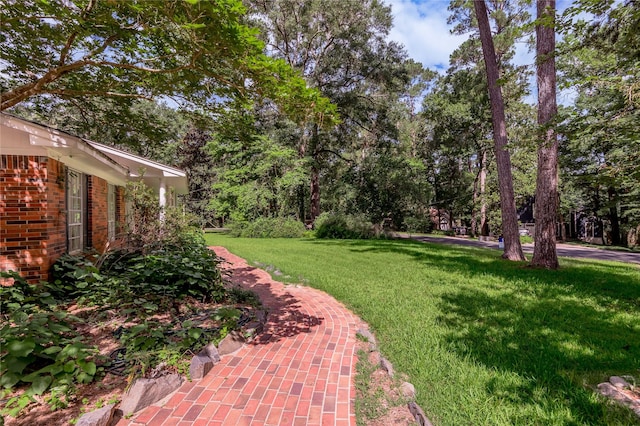 3799 Summer Ln, Huntsville, TX 77340 - view of grassy yard with view of wooded area