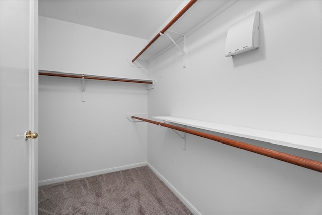 14306 Cypress Meadow Dr, Cypress, TX 77429 - spacious closet featuring carpet