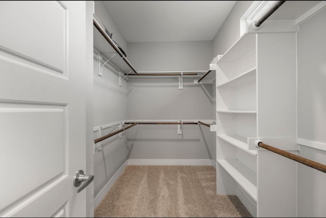 406 Yale Oaks Ln, Houston, TX 77091 - spacious closet with light colored carpet