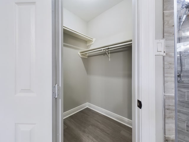 11614 Taos Ln, Houston, TX 77070 - spacious closet with dark wood-style flooring