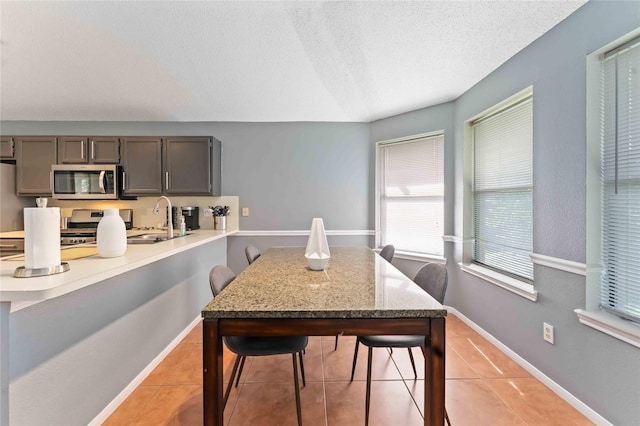 1710 Blue Heather Ln, Fresno, TX 77545 - dining area with plenty of natural light, light tile patterned floors, and a textured ceiling