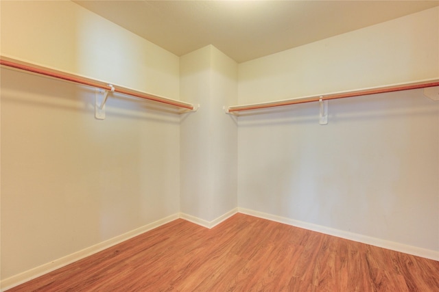 21306 Branford Hills Ln, Katy, TX 77450 - walk in closet with wood finished floors