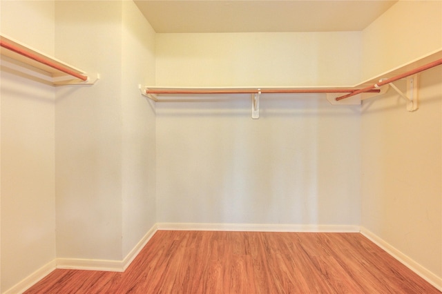 21306 Branford Hills Ln, Katy, TX 77450 - walk in closet with wood finished floors