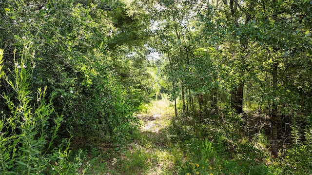 5515 Patterson Rd, Manvel, TX 77578