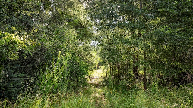 5515 Patterson Rd, Manvel, TX 77578