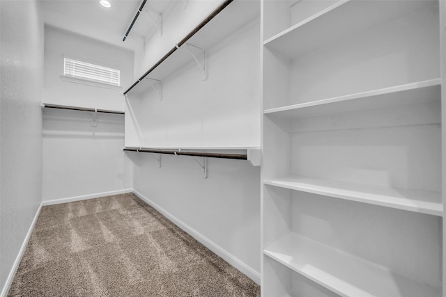 16114 Northern Cardinal Ln, Cypress, TX 77433 - walk in closet featuring carpet