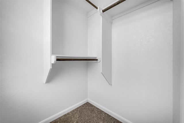 16114 Northern Cardinal Ln, Cypress, TX 77433 - spacious closet featuring carpet flooring