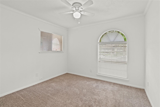 4402 Seneca St, Pasadena, TX 77504 - photo 9