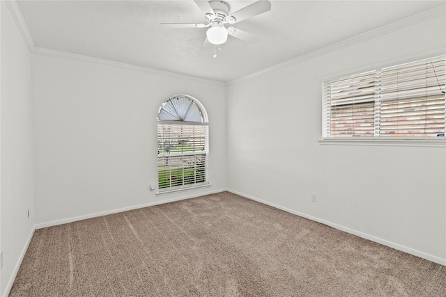 4402 Seneca St, Pasadena, TX 77504 - photo 10