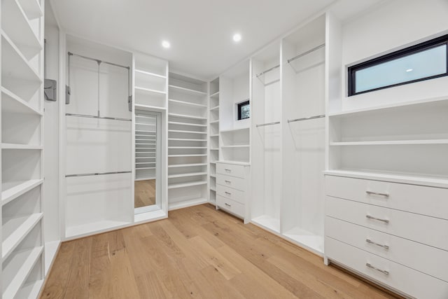 1310 Willard, Houston, TX 77006 - spacious closet with light wood-type flooring