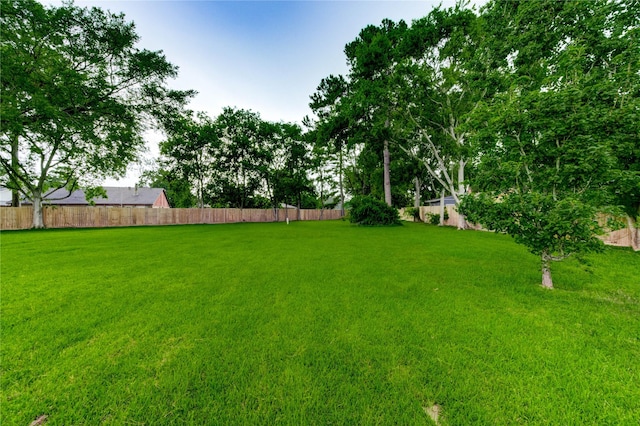 22843 Post Gate Dr, Spring, TX 77373 - view of yard