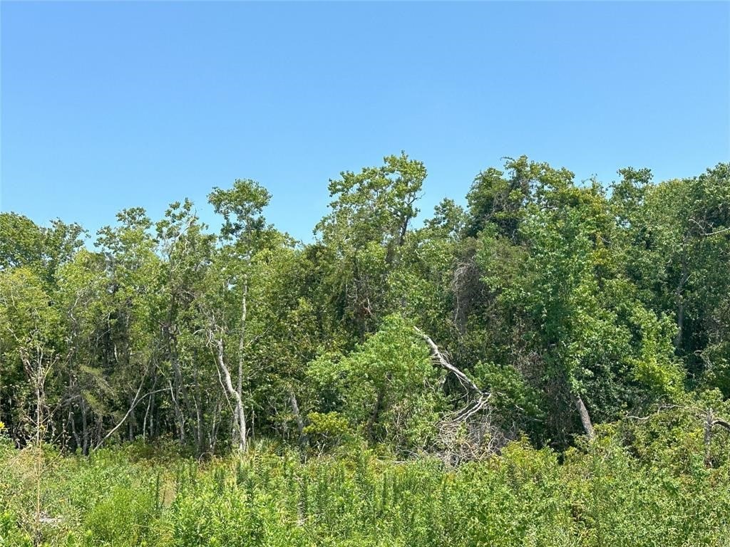 LOT25 2nd St, Texas City, TX 77590 - photo 1