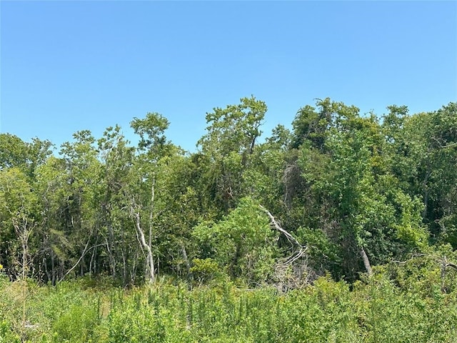 LOT25 2nd St, Texas City, TX 77590 - photo 1
