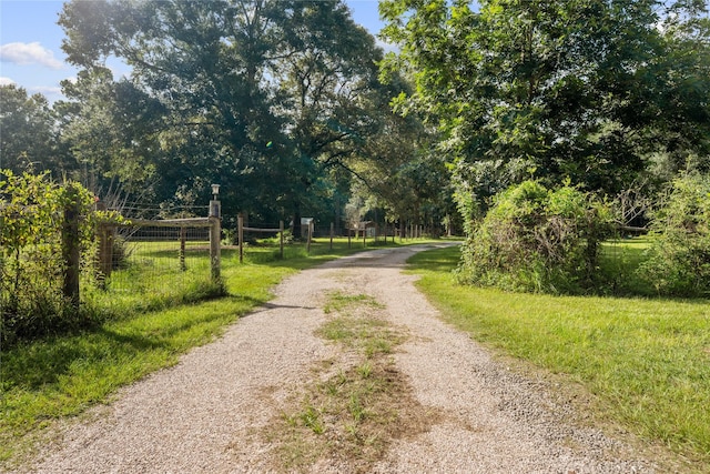 67 County Road 2190, Cleveland, TX 77327 - photo 29