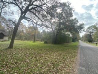 27306 Tepee Trl, Hockley, TX 77447 - photo 32