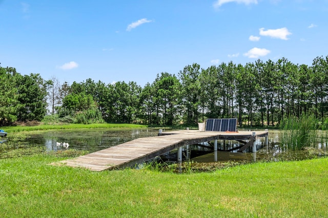 110 Hunters Creek Way, Hockley, TX 77447 - photo 46