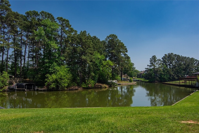 12786 Aries Loop, Willis, TX 77318 - photo 44